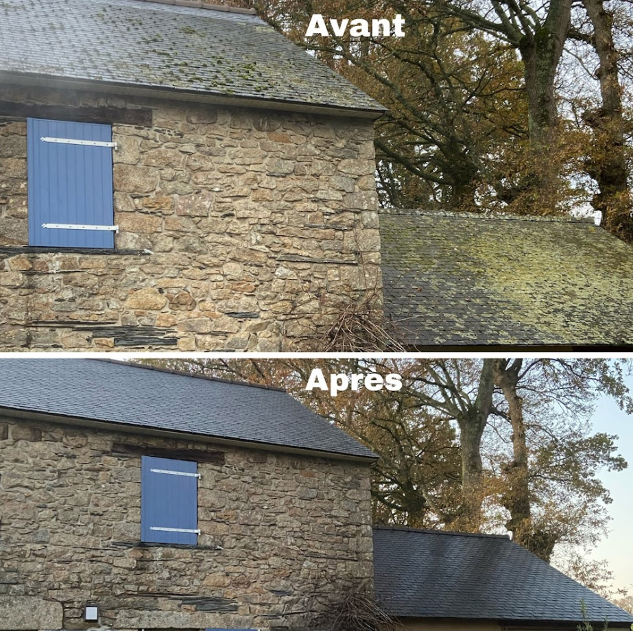 Démoussage de toiture, façade et muret